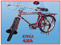 Velo Kinga